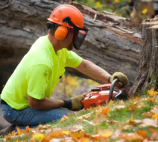 tree services Hannibal